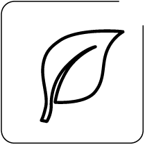 Energy Efficiency